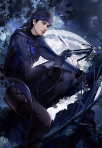 錦衣鎮山河燃文,錦衣鎮山河燃文
